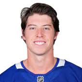 Detroit Red Wings vs. Toronto Maple Leafs Box Score & Stats