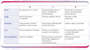 paediatric pain assessment