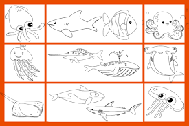 Download Sea Animals Coloring Pages Volume 2 Graphic By Fayne Creative Fabrica