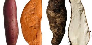 Are sweet potatoes healthier than potatoes? What Is The Difference Between A Sweetpotato And A Yam North Carolina Sweetpotatoes