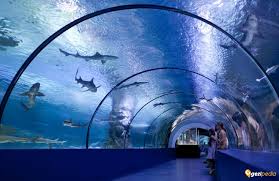 Antalya Akvaryum Tanitimi Antalya Aquarium Nerede Ve Fiyat Tarifesi
