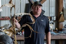 Rooted in Agronomy: Ryan Gentle's Commitment to Helping Farmers Grow Better  Corn