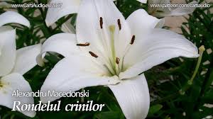 Alexandru macedonski was a romanian poet, novelist, dramatist and literary critic, known especially for having promoted french symbolism in. Cartiaudio Youtube Channel Analytics And Report Powered By Noxinfluencer Mobile