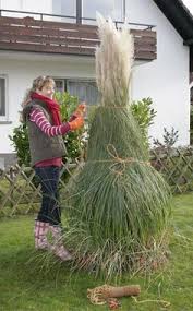 Das Pampasgras Cortaderia Selloana Ist Ein Imposantes Solitargras Das In Jedem Garten Alle Blicke Auf In 2020 Grasses Garden Herb Garden Design Flower Garden Design