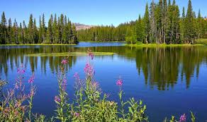 Sierra Lakes County Water District