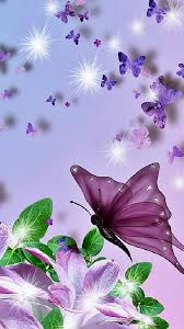 Attractive butterfly photo with pink flower picture for whatsapp dp. Whatsapp Flower Wallpaper Purple Violet Butterfly Flower Plant Petal Lilac Insect Flowering Plant Moths And Butterflies 2045297 Wallpaperkiss