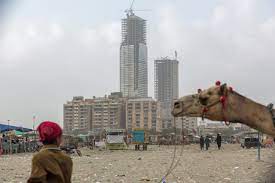 Camel for sale in pakistan. How Three Pakistani Brothers Created A Billion Dollar Unicorn In Real Estate Rest Of World