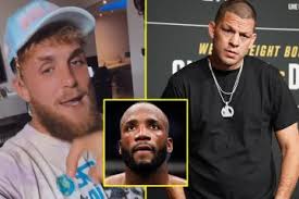 Conor McGregor labels Jake Paul a 'donkey' and makes prediction for his  fight with Nate Diaz