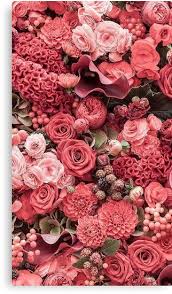 Pin By Franzi Lindesey On Walls In 2020 Spring Wallpaper Spring Wallpaper Hd Flower Wallpaper