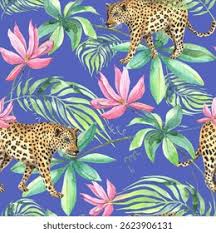 Image result for Philyrophyllum schinzii