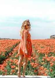 Fastest same day flower delivery in san marcos,california. The Flower Fields Quartz Leisure