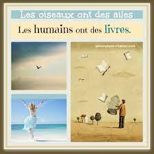 Maybe you would like to learn more about one of these? Un Livre Est Une Fenetre Par Laquelle On S Evade Atmosphere Citation
