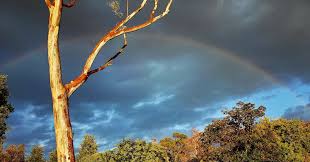 And so it begins as it ended... 🌈 I saw this rainbow in the sky above my  home this week. Rainbows are often related to spirituality and serve as a  sign of