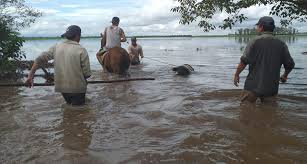 La Lluvia Afecto A Localidades Del Interior La Nota Tucuman El Medio Para Tus Ideas