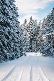 Winter aesthetic, winter aesthetics, pretty winter photos. 40 000 Best Snow Photos 100 Free Download Pexels Stock Photos