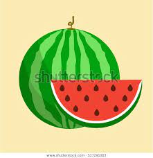 Flat Icon Watermelon Slice Watermelon Vector Stock Vector Royalty Free 517291003 Watermelon Vector Flat Icon Stock Vector