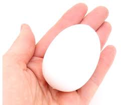 Les produits en plastique sont peu chers, pratiques et robustes. Oeuf En Plastique Blanc Taille Standard Pour Jeu Loisirs Creatif Pas Cher A Decorer