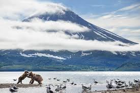 Tutti i 15 canali rai generalisti e specializzati in diretta streaming: Une Planete Parfaite Du Soleil Aux Volcans Mardi 16 Fevrier Sur France 2 Video