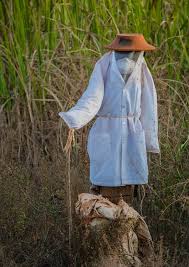 The History and Uses of Scarecrows – Gardzen