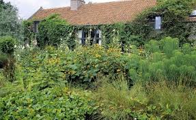 Verwilderter Garten In Der Nachbarschaft Naturgarten Garten Gartengestaltung