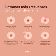 Tipos De Anomalias En Los Pechos Eva