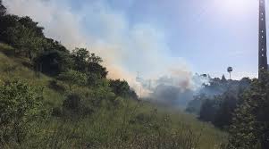 El incendio que mantiene en alerta al algarve portugués se ha recrudecido y las llamas avanzan sin control. Bombeiros Combatem Incendio Algarve Marafado