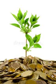Coins And Plant Isolated On White Background Aff Plant Coins Isolated Background White Ad In 2020 Plants Stock Images White Background