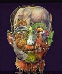 Online tests for dementia/alzheimer's should be adequate to help families distinguish between these conditions. Spotted Enfield The Test Of The Head Is To Find A Camel It S A Test To See Who Can Develop Alzheimers Doctors Say Those Who Find The Camel Will Be Far