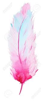 High resolution, 300 dpi and around 7 inches at widest/tallest point. Hand Drawn Watercolor Pink Feather Isolated On White Background Stock Photo Picture And Royalty Free Image Image 59960609