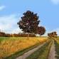 Transforming Community & Rural Healthcare '24: Inspiring Partnerships & Scaling Collaborative Impact