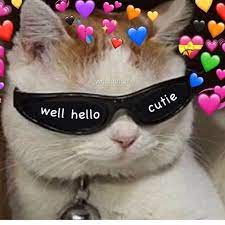 Wholesome Meme Cat Sunglasses Love Cute Cat Cute Love Meme Sunglasses Wholesome Cute Cat Memes Cute Love Memes Cat Memes