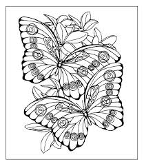 Coloring pages of flowers and butterflies. Pin On Pics