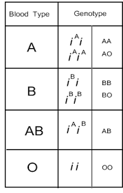 What i thought i'd do for the rest of the answer is talk as you'll see it has to do with what a gene actually does. What Is Codominance Explain With Example
