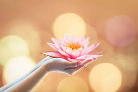 Generally, most buddhists would eat vegetarian meals at least on this day as buddhism respects all life. Wesak Day Stock Photos And Images 123rf
