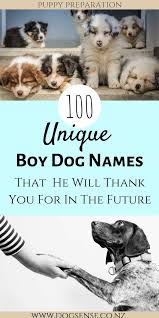 A sweet and simple name, easy to call out and easy for your dog to understand. 100 Unique Boy Dog Names And Meanings That He Will Love This Cute List Is Perfect For Boy Puppies And He Will Thank Y Boy Dog Names Girl Dog Names Dog Names