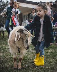 Spring petting zoooooooo