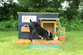 Diy Modern Dog Bowl Stand From Scrap Wood Just 4 Easy Steps