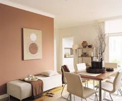 Warm Brown Feature Wall With Light Coloured Opposing Walls Living Room Color Schemes Dining Room Colour Schemes Living Room Wall Color