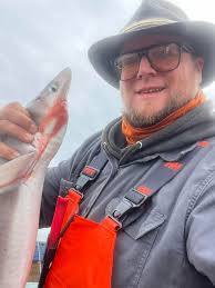 There are 9 species of hammerhead sharks! Do you know them?