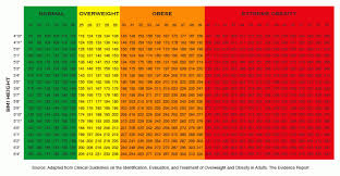 is bmi accurate coach calorie