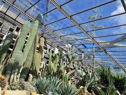Schaugewachshauser Garten Pflanzen Planten Un Blomen