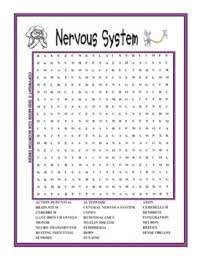 Nervous System Word Search Worksheets Teaching Resources Tpt