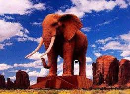 Vezi care este meniul zilnic al femeii. Caracteristicile Comportamentului ElefanÈilor Africani Elefantul Este Cel Mai Mare Mamifer De La PlanetÄ