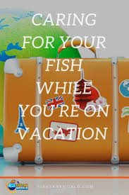 Fish Care While On Vacation Here Are The Tips To Fish Tank Goldfish Care Fish Care