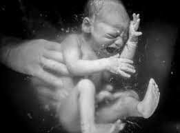 Nevermind is the second studio album by american rock band nirvana, released on september 24, 1991 by dgc records. The Designer Of Nirvana S Nevermind Cover On Shooting Babies And Working With Kurt Cobain The Work Behind The Work