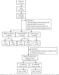 figure 1 from successful combination of nucleic acid