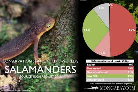 Endangered Species Tables And Charts