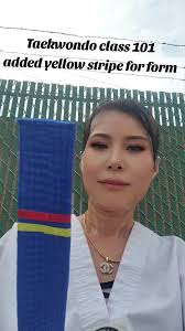 Tom Vo Taekwondo Westminster Ca