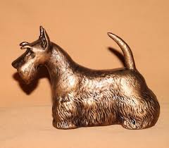 Image result for skotský teriér