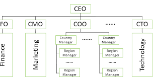 Career Paths Of The Analytics Officers